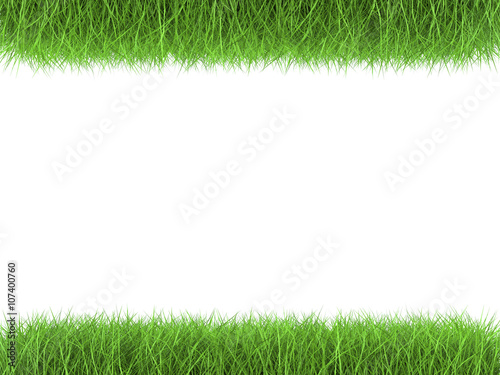 green grass parallel on white background