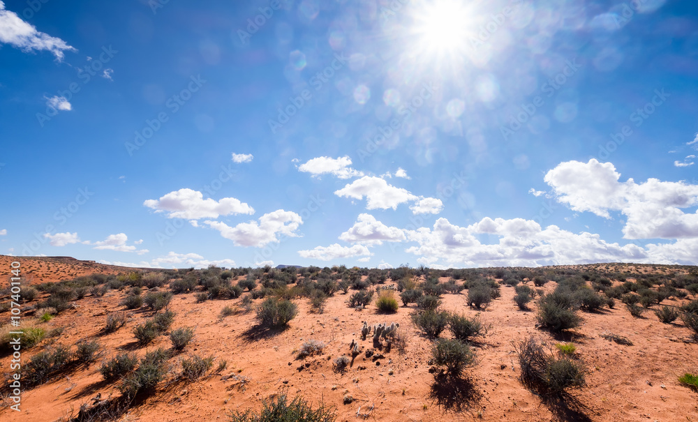 Fototapeta premium Arizona American desert landscape under a blazing sun with lens flare