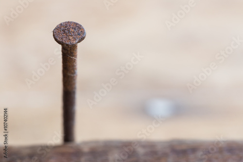 Rusted nails on old wooden