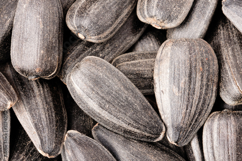 Obraz na plátně Sunflower seeds close up as background
