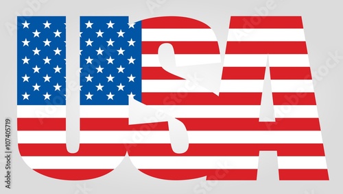 USA flag text icon