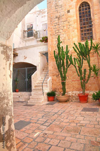 Alleyway. Polignano a mare. Puglia. Italy 