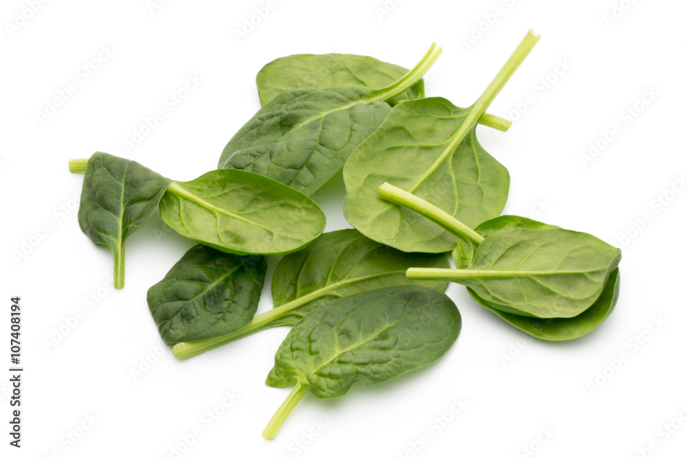 Spinach on the isolated white. Spinach on the isolated white.