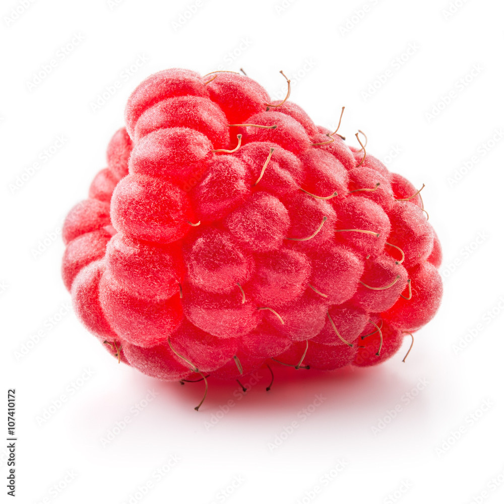Raspberry. One fresh berry isolated on white background. Raspberry. One fresh berry isolated on white background.