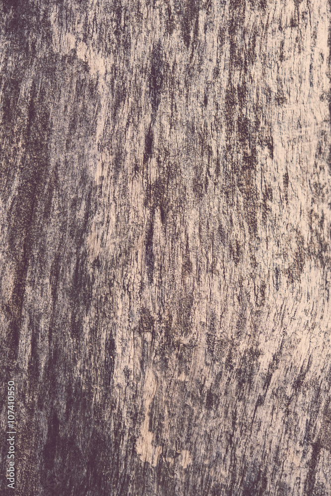 Obraz premium tree bark with cracks