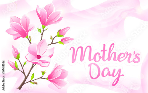 VECTOR eps 10. For Mother's day and international women's day with Magnolia branch! Pink abstract template. Elegant waves of silk for cute background. Flecks of sunlight on pink silk

