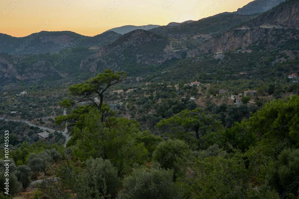 pine trees in mediterranean mountains
Mesudiye, Datca region, Turkey