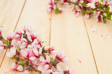 Blooming branch on a wooden background