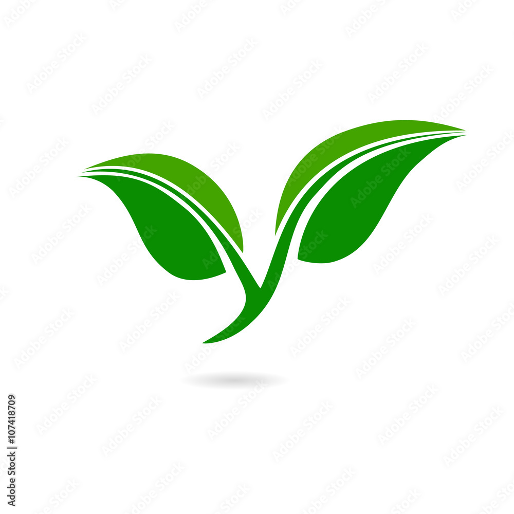 Fototapeta premium green leaf flat icon. symbol vector illustration icon
