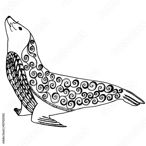Sea lion zentangle stylized, seal vector illustration with freehand pencil, hand drawn pattern