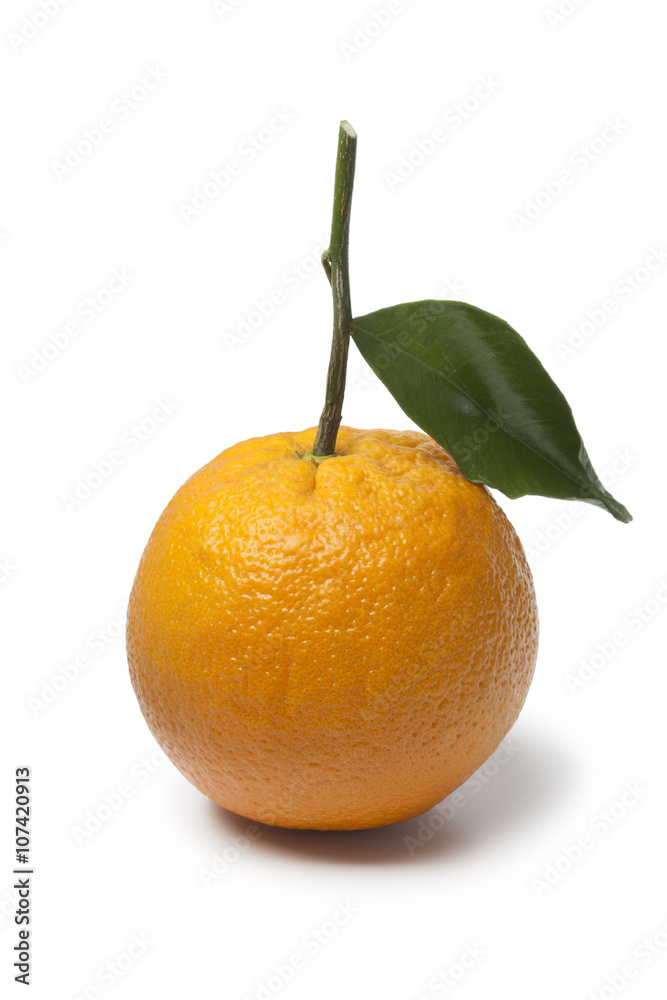 Single whole fresh orange with a leaf