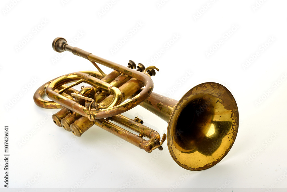 Obraz premium trumpet