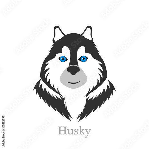 Cute Siberian Husky  standing front view dog, vector illustration