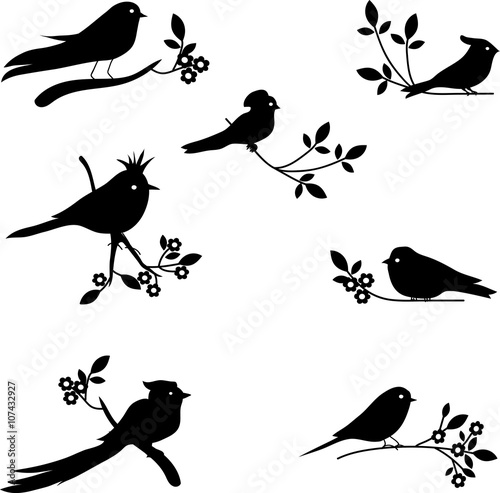 Vector Collection of Bird Silhouettes