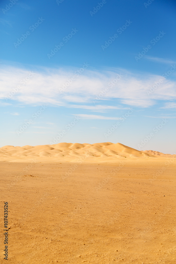 in oman   desert    sand dune