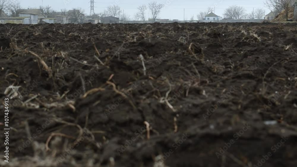 Dug Ground Away Rural Huts Among Bare Trees Dug Ground Away Rural Huts Among Bare Trees