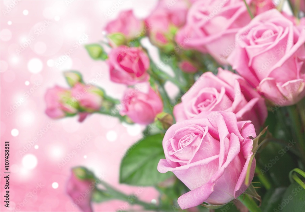 Flower. Flower.