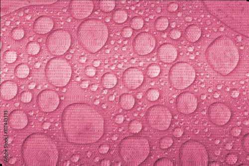 Water drops on magenta background