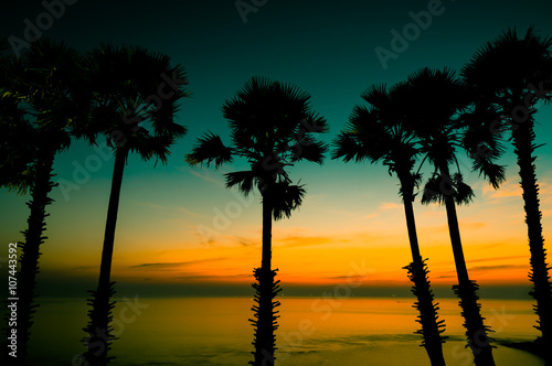 Silhouette coconut palm trees on beach at sunset. Vintage tone.