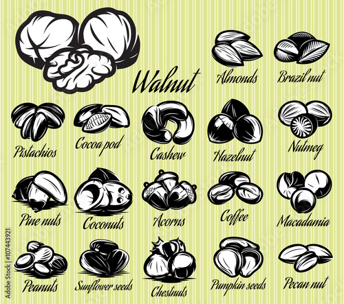 a set of eighteen stylish vector templates of nuts for menu 