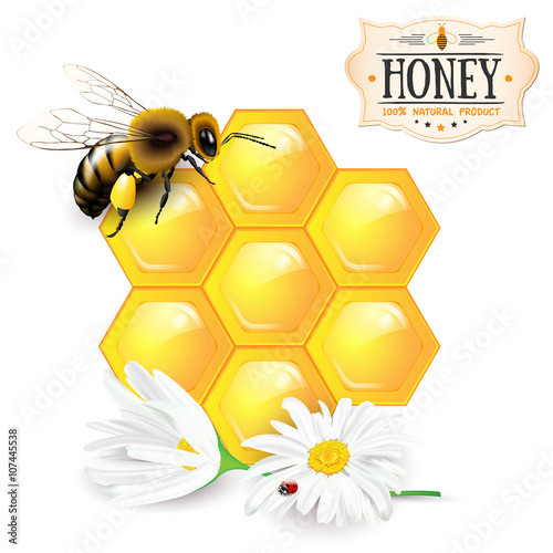 Fototapeta Naklejka Na Ścianę i Meble -  Bee, honeycomb, daisies and honey label