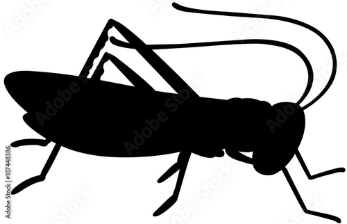 silhouette grasshoper