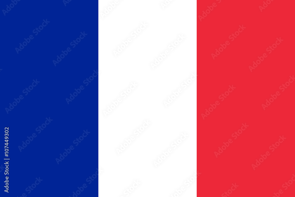 Fototapeta premium Vector of French flag.