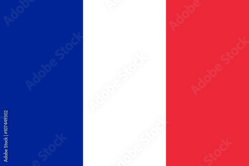 Vector of French flag. Fototapet