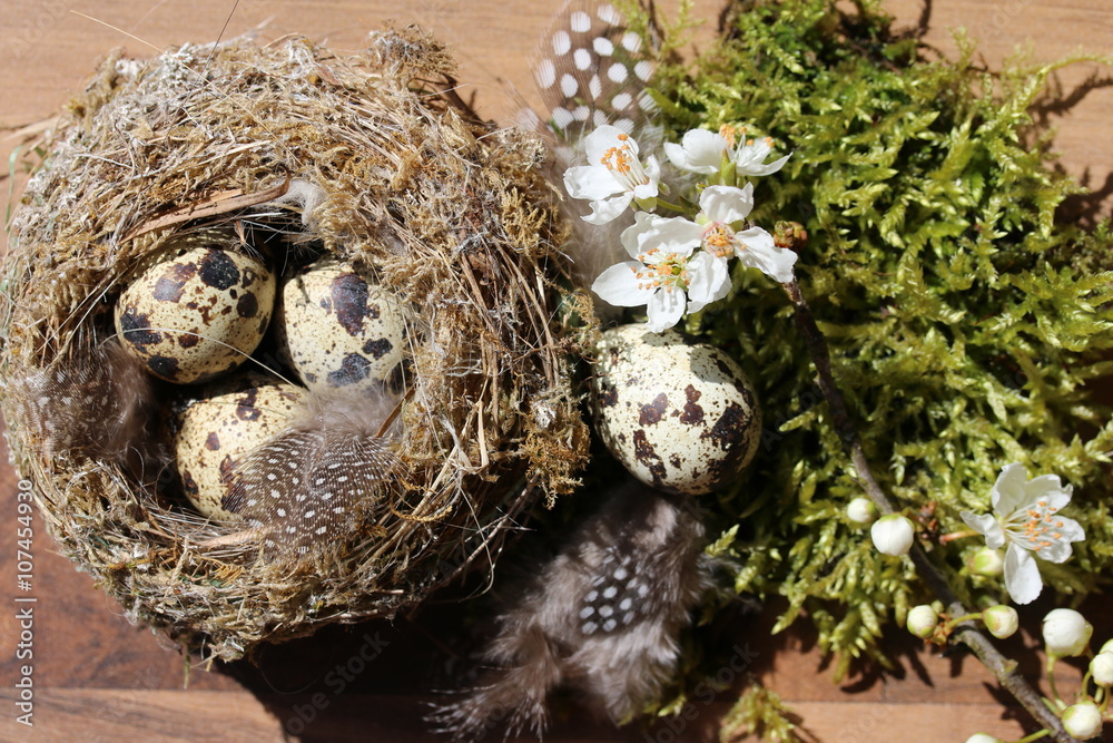 1,2 M Künstliche Reptilien-Reben Mit Moos & Saugnäpfen – Dschungel-Dekor Für Terrarien, Flexibel & Realistisch