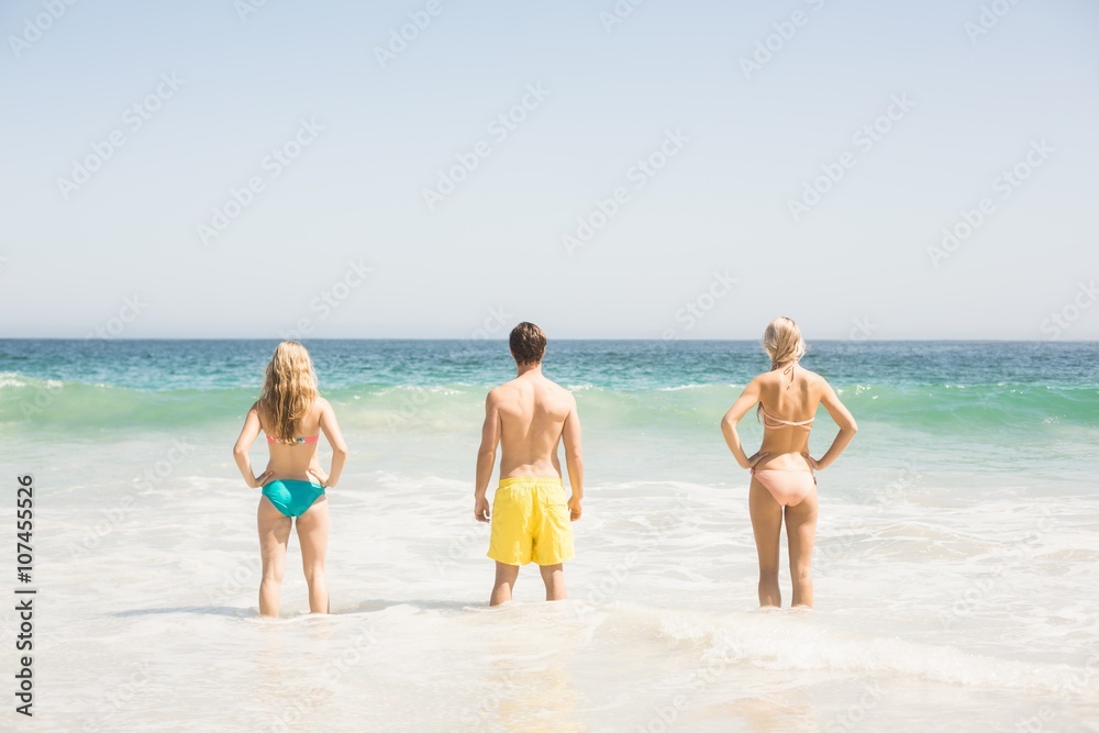 Rear view of young friends standing on the beach