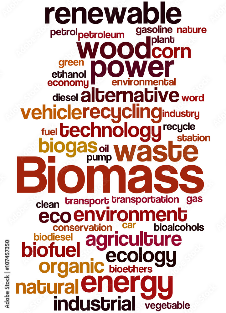 Biomass, word cloud concept 7