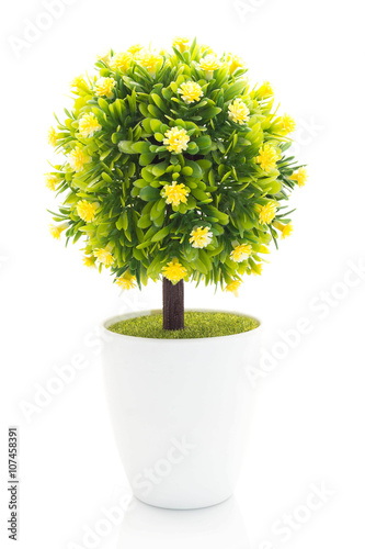 small plastic tree isolated on white background