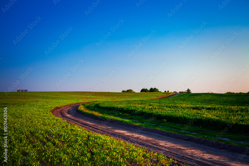 Naklejka premium Green Field and Beautiful Sunset