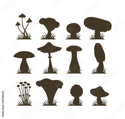 Mushrooms vector illustration set different types isolated on white background