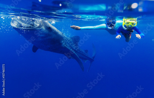 Boy snorkeling with whale shark