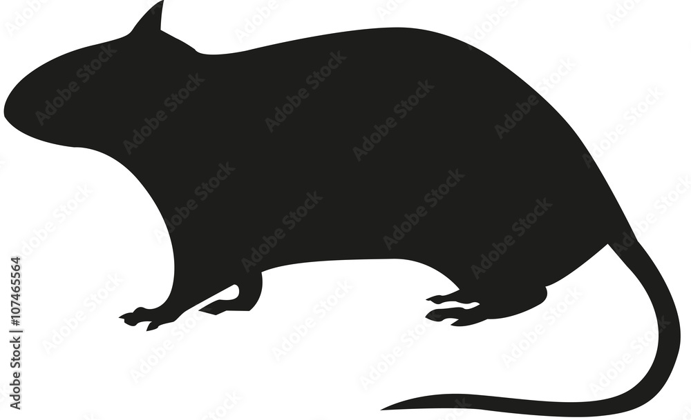silhouette rat silhouette rat