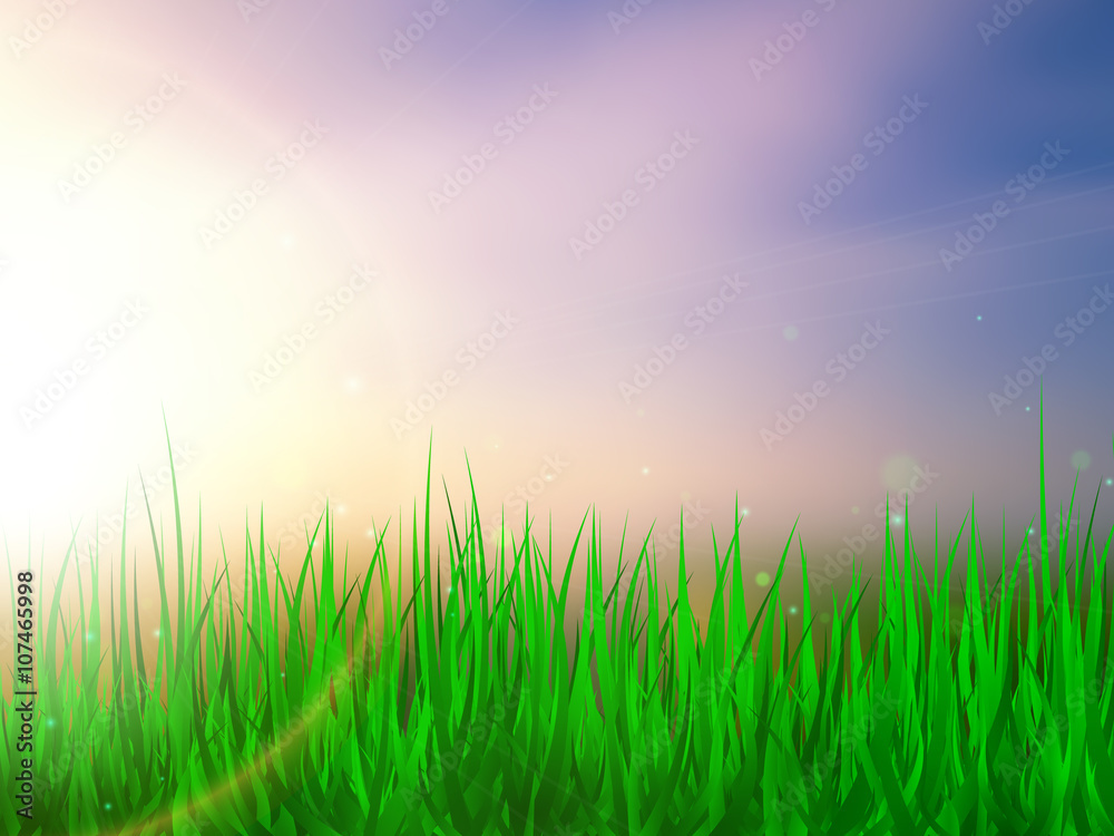 Fototapeta premium Sunlight. Summer background with green grass and blue sky. Vector illustration