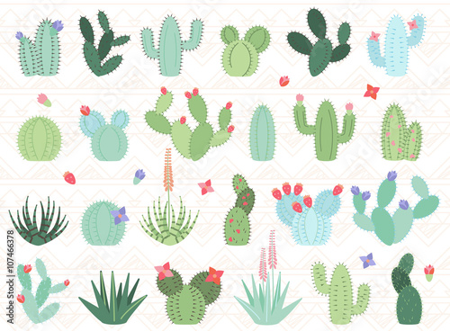 Vector Set of Cactus and Succulent Plants