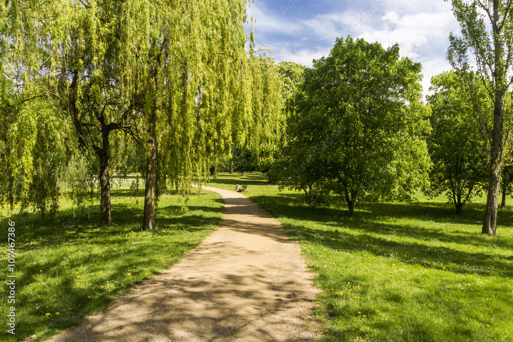 Park im Frühling