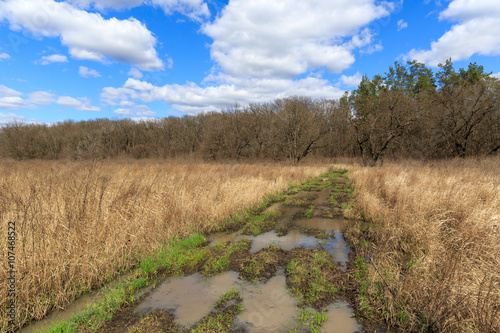 Фотография dirty road with puddles on spring meadow