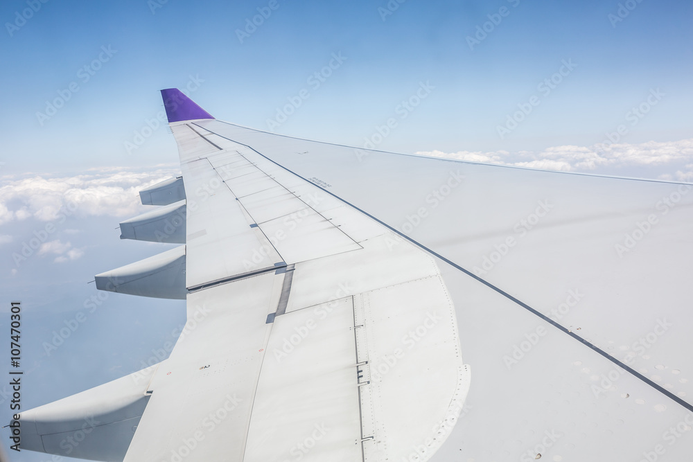 aeroplane wing