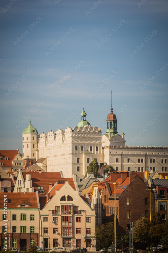 Fototapeta premium Ducal Castle, Szczecin (Poland) in the sunny day with residential buildings in old town