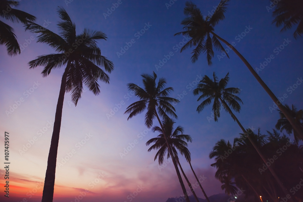 tropical landscape by night, silhouettes of palm trees on the beach with sunset sky