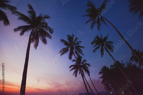 tropical landscape by night, silhouettes of palm trees on the beach with sunset sky © Song_about_summer
