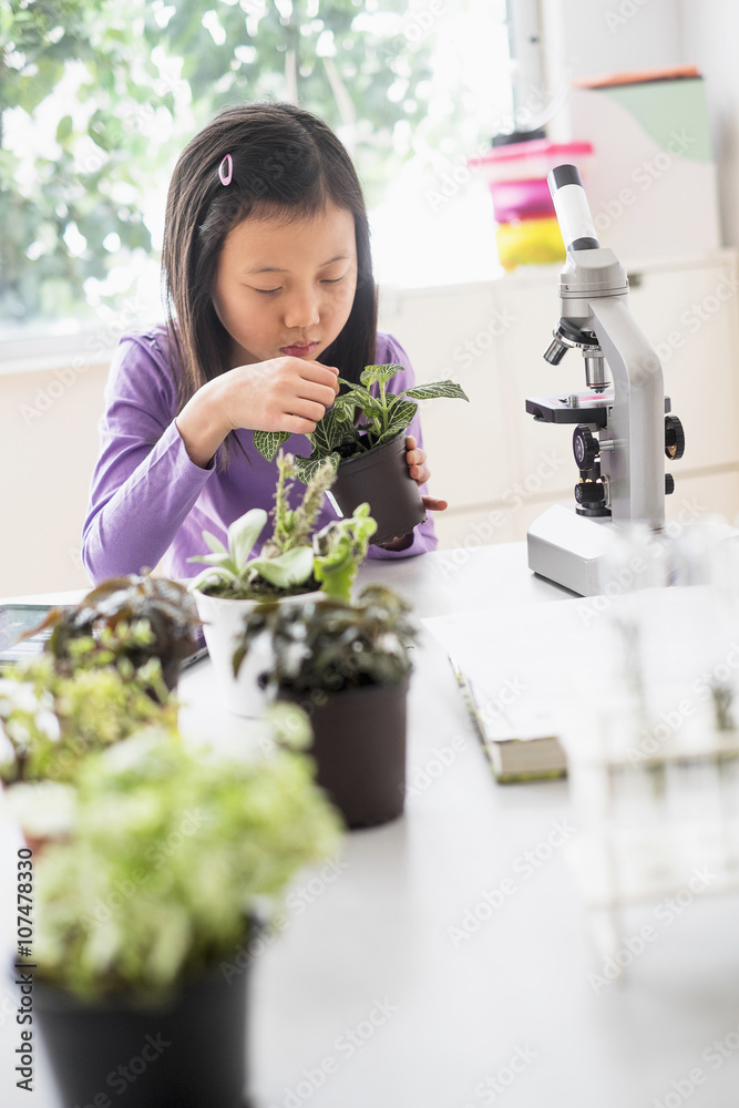 Chinese student examining plants in science lab Chinese student examining plants in science lab