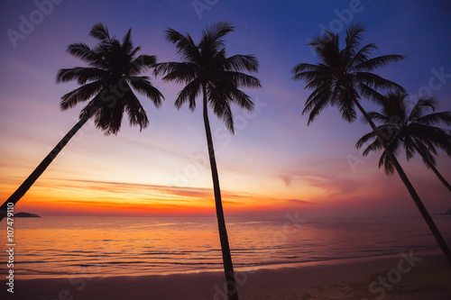 paradise tropical beach at sunset, exotic landscape with silhouettes of palm trees