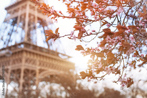 Photography spring in Paris