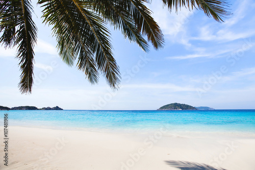 Fototapeta Naklejka Na Ścianę i Meble -  paradise beach background with copyspace, turquoise water, white sand and blue sky
