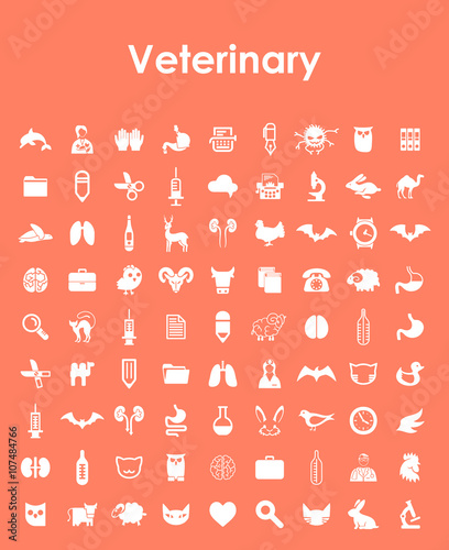 Set of veterinary simple icons