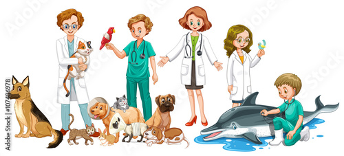 Vets and many animals